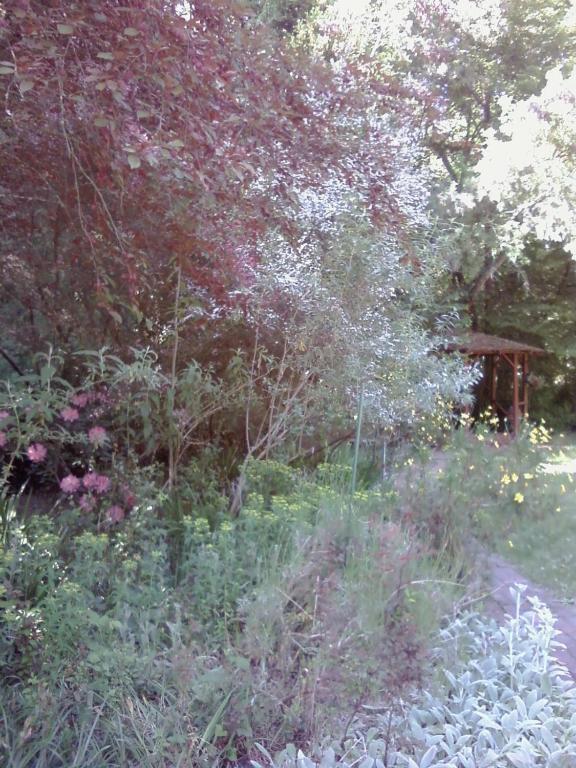Ben Lomond Fairview Manor Bed And Breakfast المظهر الخارجي الصورة